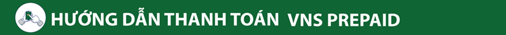 Hướng dẫn thanh toán VNS prepaid